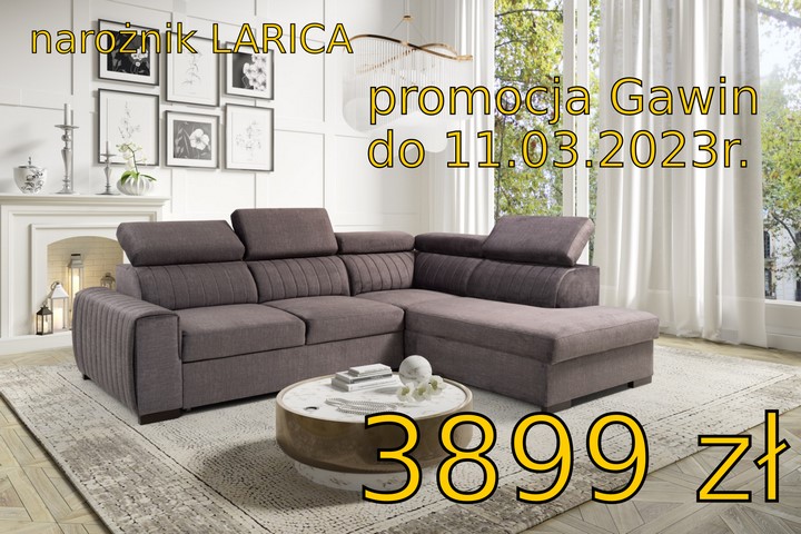 larica promo fixed 720px